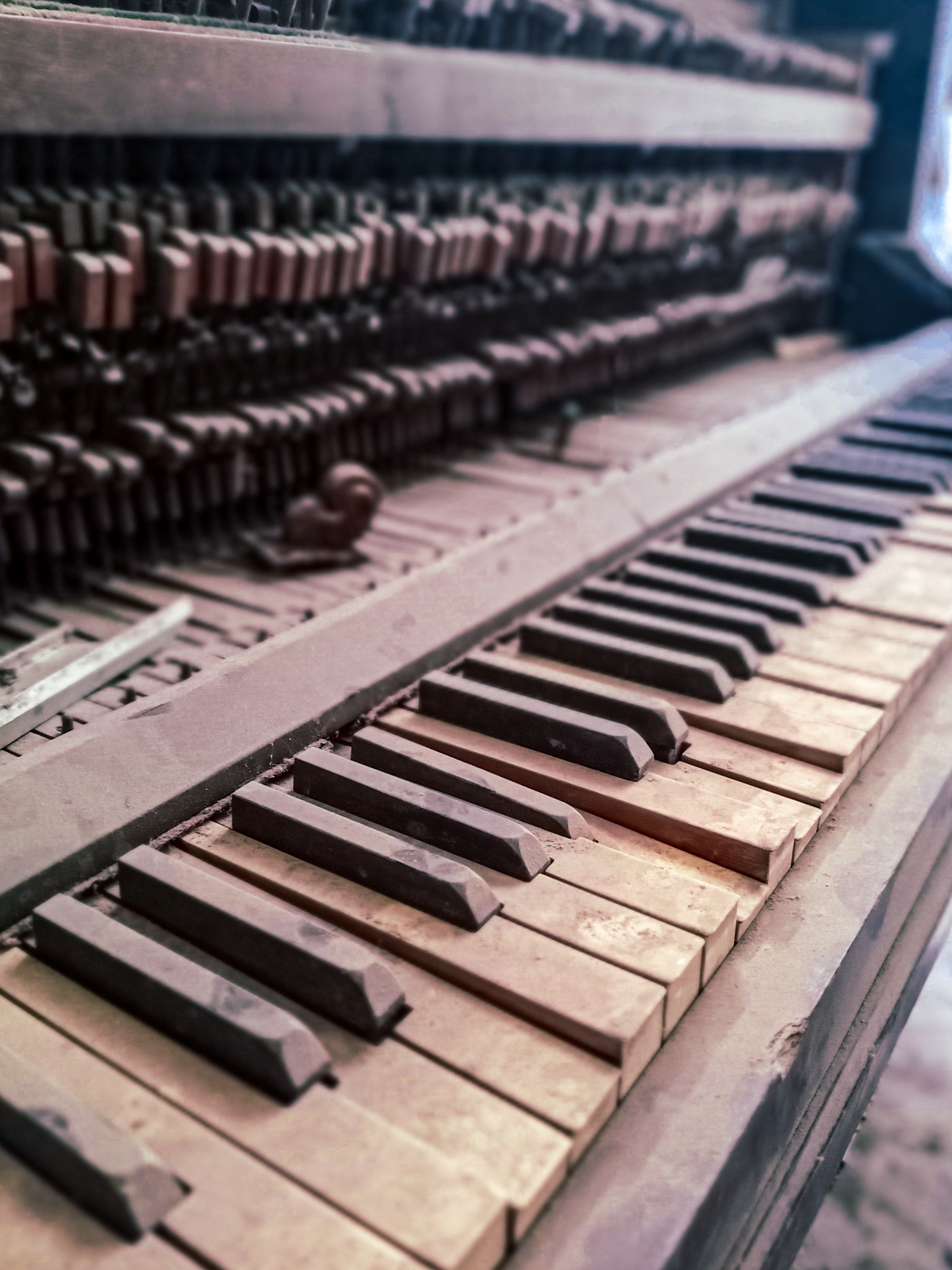 Close detail of piano keys